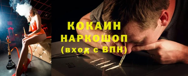 индика Алексин