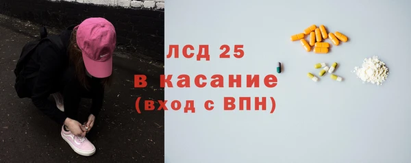 индика Алексин