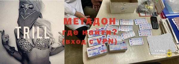 индика Алексин